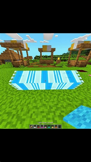 Minecraft Carpet HACKS: Nametag Edition!