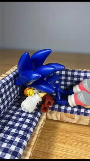 Sonic and Tails Playtime Adventure