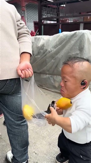 Where Did The Fruits Go? #Funnyvideo #Laugh #Funny #Dwarf #99cm