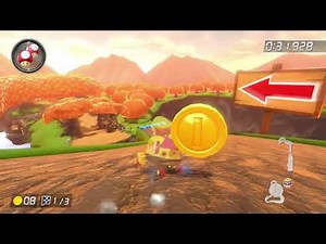 Wii Maple Treeway [200cc] - 1:51.767 - Hgt (Mario Kart 8 Deluxe World Record)
