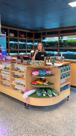 KeepingFishSimple Shop on Instagram: "A little update of what we have this week at your local aquarium store 💦"