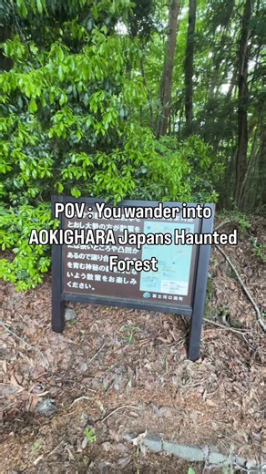 You enter AOKIGAHARA the most frightening forest in Japan. Full video on my YouTube @yureidocs #japan | Exploring With John
