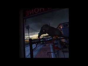 Virtual Reality Crow Attack