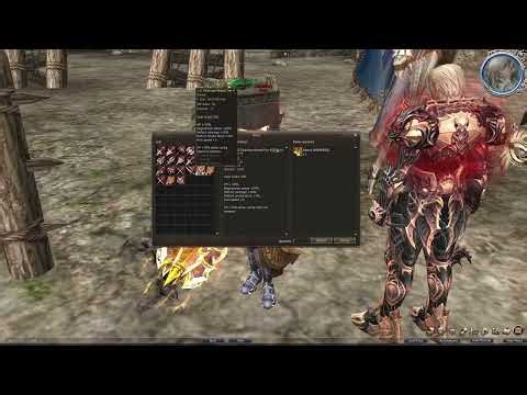 Lineage 2 Unity All items in Game Archive