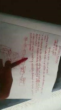 SAFTA and levels of economic integration