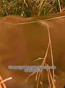 279K views · 4.8K reactions | king | Favorite Movies | Facebook