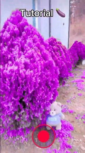 That so purple tutorial 🪻