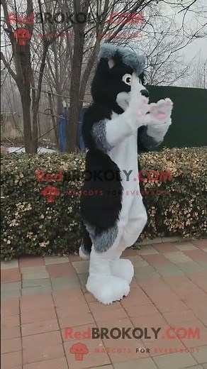 White and Black Normal Wolf Female Mascot Costume