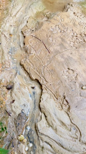 Wow,!!, it's amazing, rare gold veins contain thousands, even millions of pure gold grains #goldgrains #goldprospecting #goldprospector #goldhunter #goldhunting #goldmund #Goldfinding #lookingforgold #PUREGOLD #golddiscovery #golddust #treasure | Afrizul Izul