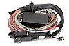 Haltech HT-141305: HT-141305 Elite 2500 Premium Universal Wire-in Harness Only, 5.0m (16 ft) - JEGS
