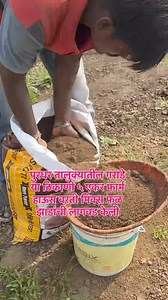 1.2K views · 16 reactions | कृष्णाई नर्सरी ( डोंबे-बंधु ) उरूळी-कांचन...