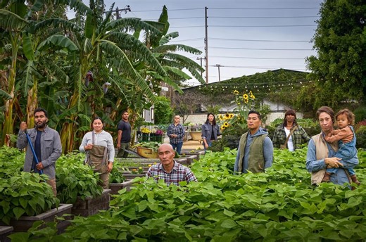 How Alma Backyard Farms Cultivates Food, Jobs And Dignity In Compton