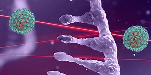 Immunological profiling using multiple model systems to understand SARS-CoV-2 infection