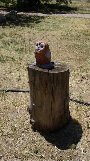 Tramps by @akrobat.trampolines and @_ddsquad Flips by @Hingaflips