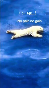 While there isn't a single official "World Viral Millionaire Gym," the term typically refers to