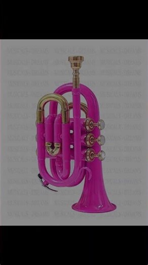 Pocket Trumpet Bb Pink Showcase
