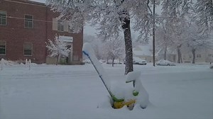 Snow is back! Just days after spring-like temperatures, winter weather has hit the panhandle. | News Channel Nebraska
