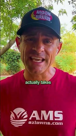 How to Plant Bermuda Seeds?