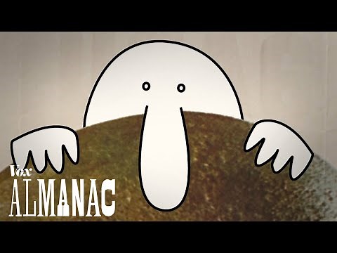 The World War II meme that circled the world