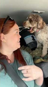 Going camping with 100 women who don’t know each other #carcamping #solocamping