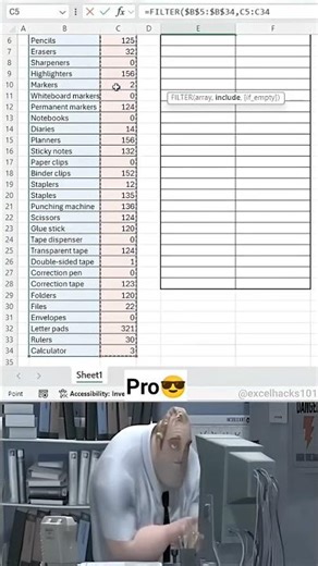 How to use Filter Function in Excel