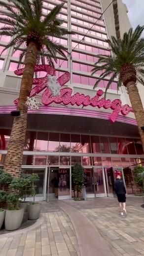 A look at Flamingo Resort Las Vegas #vegas #lasvegas #vegasstarfish #flamingolasvegas #vegashotels #vegaslocal #vegasonabudget #linqpromenade