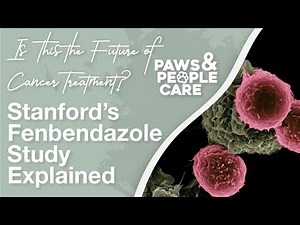 Is This the Future of Cancer Treatment? Stanford’s Fenbendazole Study Explained