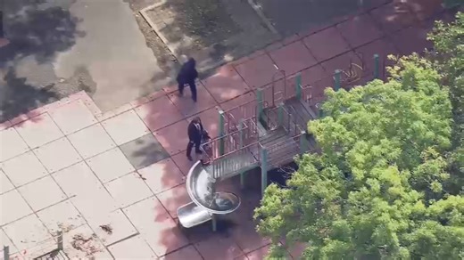 21-year-old found dead with gunshot wound to the head in Bronx playground: police