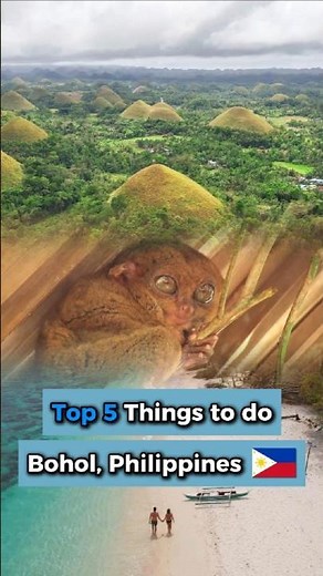 🌴 Top 5 Things to Do in Bohol, Philippines (2025 Travel Guide)