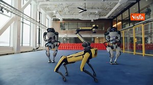 La travolgente danza dei robot: agilità e coordinazione, sulle note di "Do you love me"