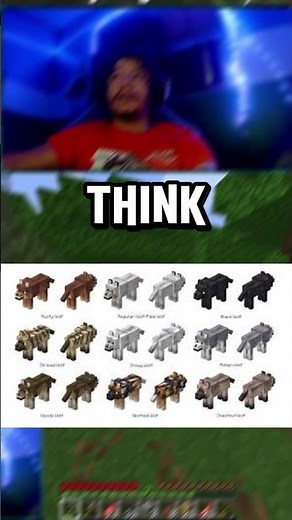 Minecraft’s Wolves Update Is Bigger Than You Think…