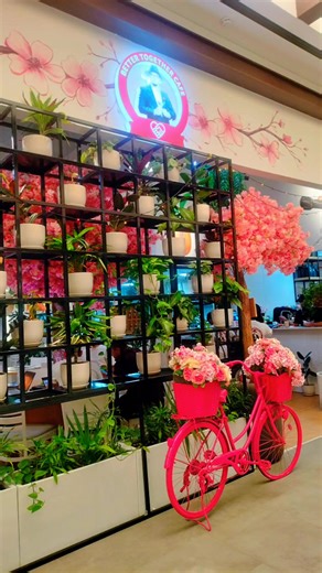 𝙰𝚖𝚊𝚣𝚒𝚗𝚐!! 💕💕