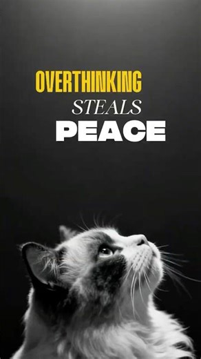 You’re Creating Your Own Pressure | Quotes | Inspiration #quotes #inspiration #lifelesson