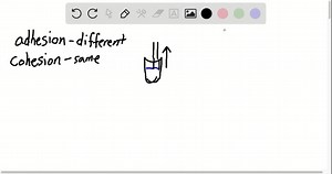 SOLVED:Use water and mercury as examples to explain adhesion and cohesion.