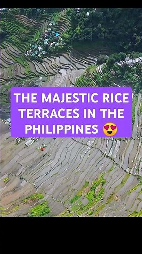 The Majestic Rice Terraces of the Philippine Cordilleras 🌾 | A UNESCO World Heritage Site