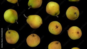 Realistic render of falling pears on transparent background (with alpha channel). The video is seamlessly looping, and the objects are 3D scanned from real pears.