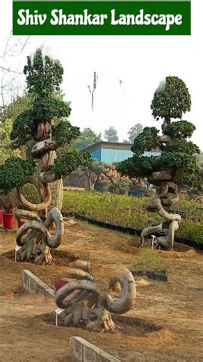 Landscaping ideas | Landscaping Design | Landscape Architecture | Landscape Painting | Garden Ideas