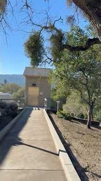 Why Elevators Are Perfect Places for Singing⤵️