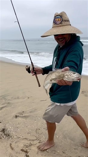 First Sand Crabs Spotted! Angler Lands Corbina at Friedman Surf Fest