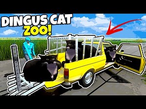 We Started a DINGUS CAT ZOO in The Long Drive!!