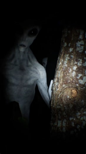 3.6K views · 79 reactions | Imagine walking into your garden at night… and an alien is standing right there! What would you do?  | Jaiden Watkins | Facebook