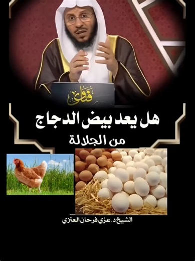 حكم أكل بيض الدجاج الجلالة