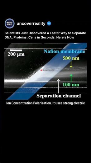 Scientists Just Discovered A Faster Way To Separate DNA, Proteins & Cells In Seconds #shorts