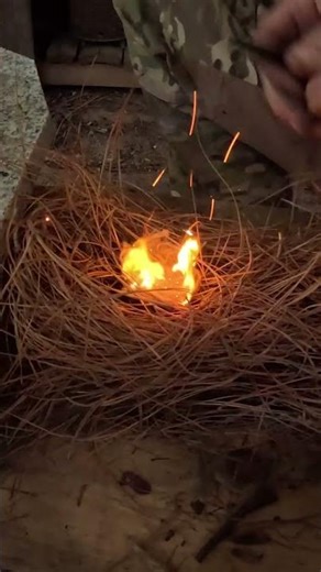 DO YOU OWN A FERRO ROD? FERRO ROD FIRE #shorts #survival #campping #bushcraftcamping