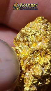 186K views · 10K reactions | What makes gold rare—and what is crystallized gold? #RareGold #CrystallizedGold #GoldSpecimen #NaturalGold #GoldCollectors #MineralSpecimen #GoldCrystals #GoldFacts #NatureIsArt #GoldHunting #GoldNuggets #GoldInQuartz #GoldRush #GoldGeology #GoldScience | Goldbay Private Reserve | Facebook