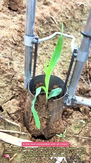 🌱Cylinder Transplanter, Root Protecting Wisdom #practical#diytools