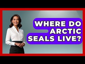 Where Do Arctic Seals Live? - Polar Regions Uncovered
