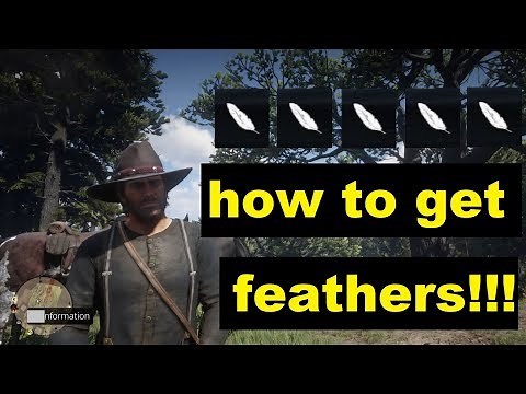 Red dead redemption 2 How to get feathers!!