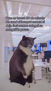 94K views · 868 reactions | Radio 1 Manele on Reels | Facebook