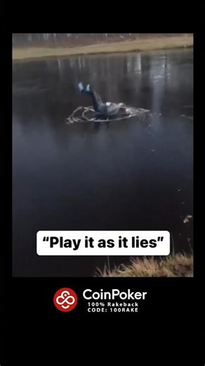 Funny Golf Moments 🤣 #funny #golf